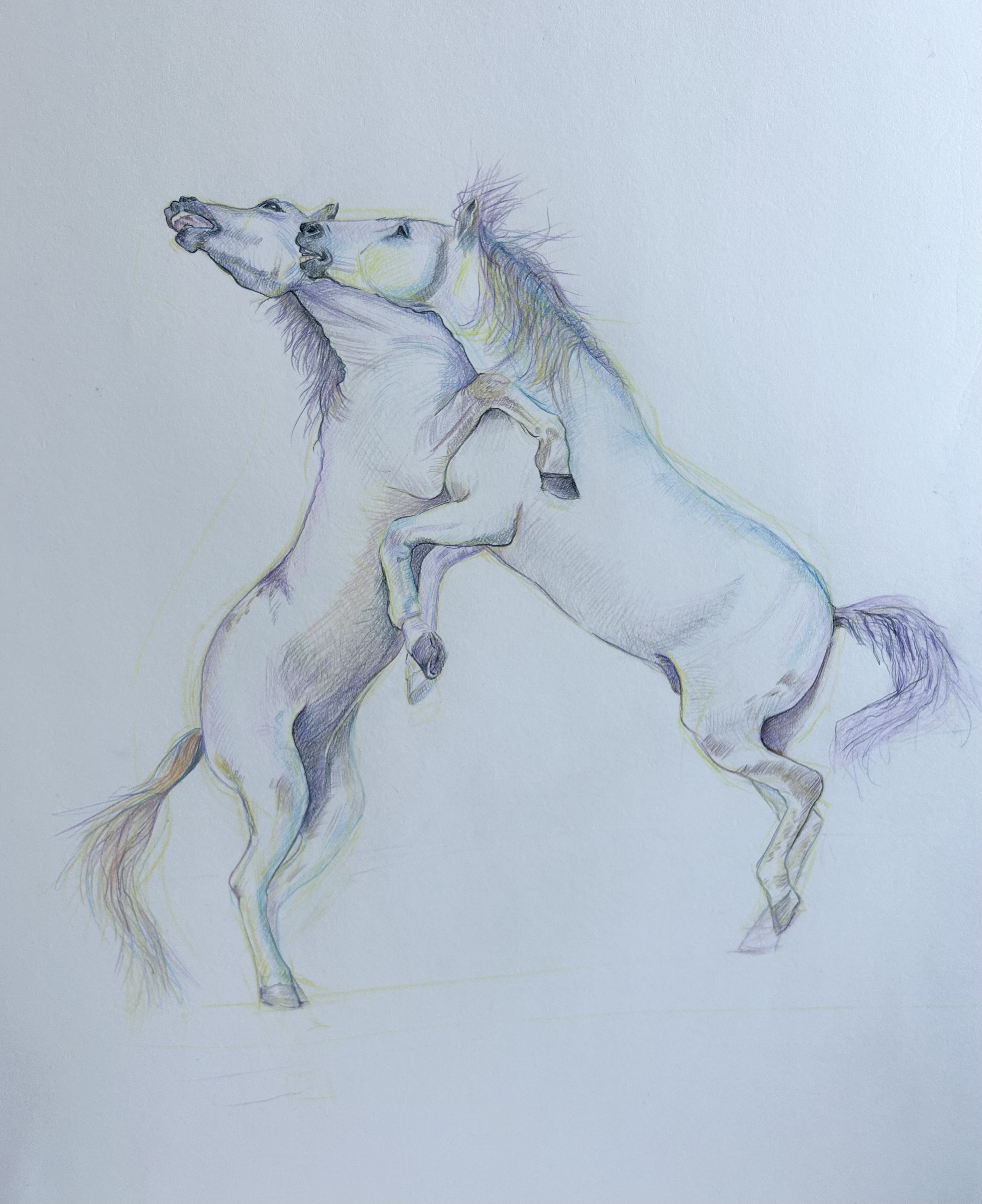Untitled III